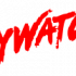 baywatch-80s-tv-show